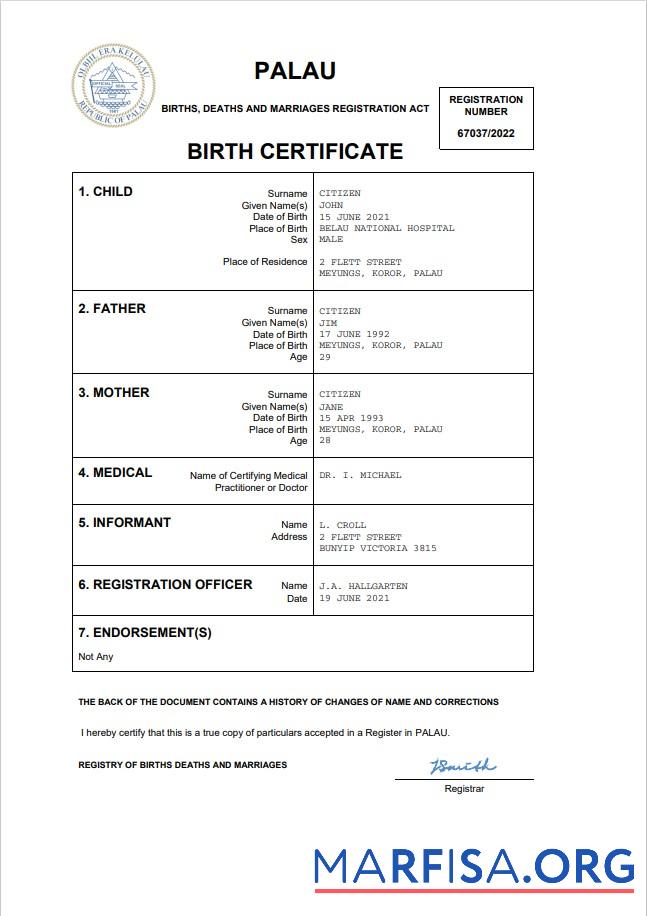 Realistic Palau birth certificate Word and PDF template